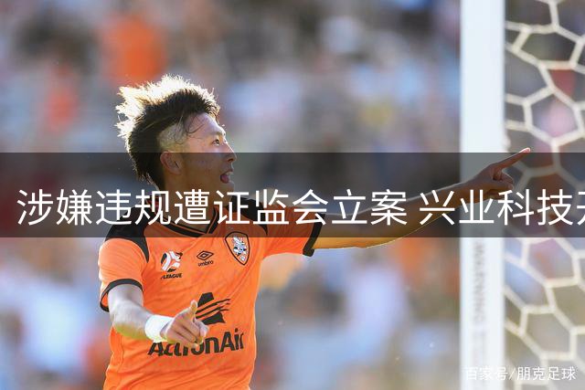 涉嫌违规遭证监会立案 兴业科技开盘跌停